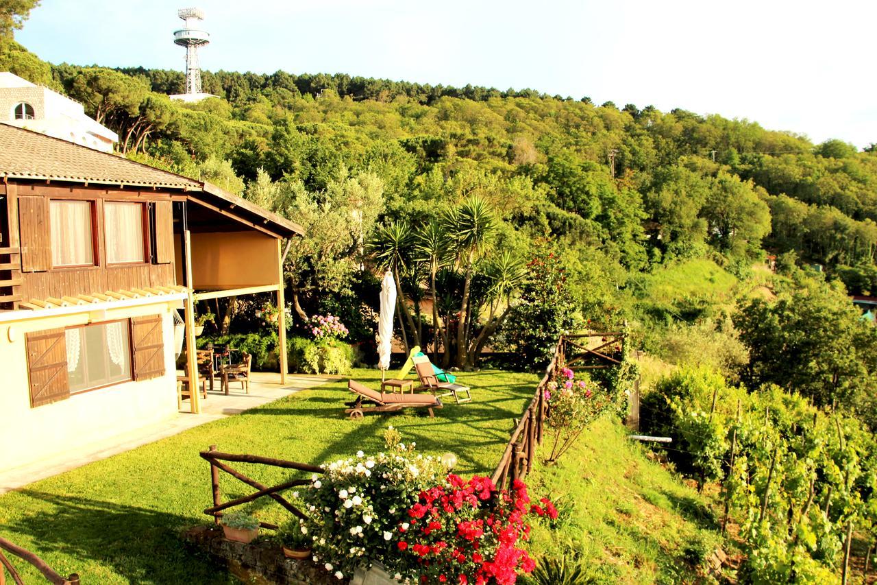 Chalet Annie Villa ซอร์เรนโต ภายนอก รูปภาพ